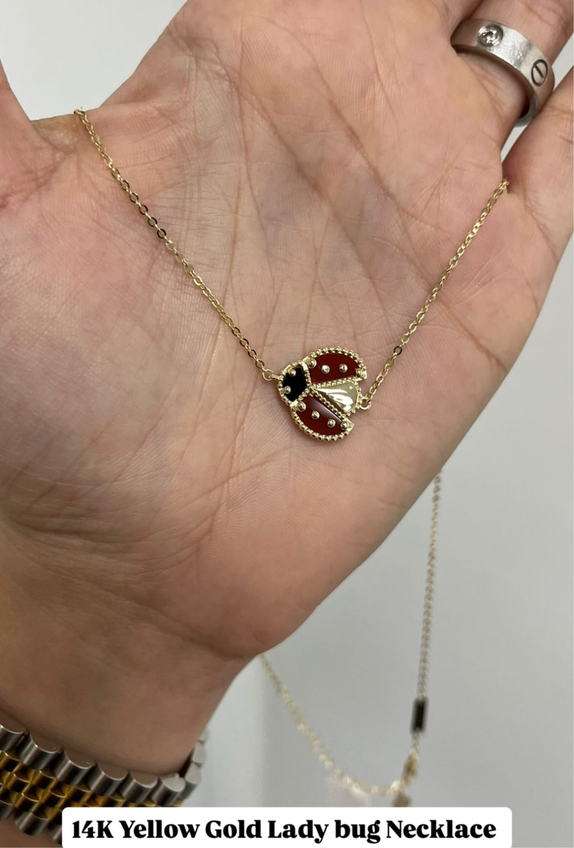 Ladybugs necklace